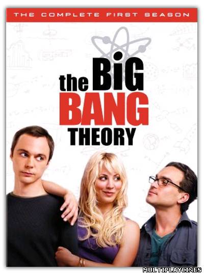 Ver The Big Bang Theory (Serie de TV) (2007) [Temporada 5] Online Gratis