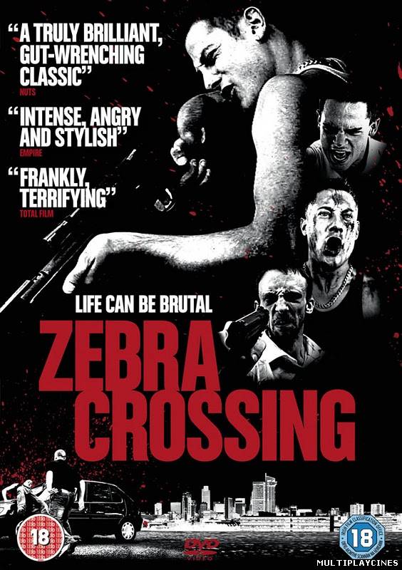 Ver Zebra Crossing (2011) online Online Gratis