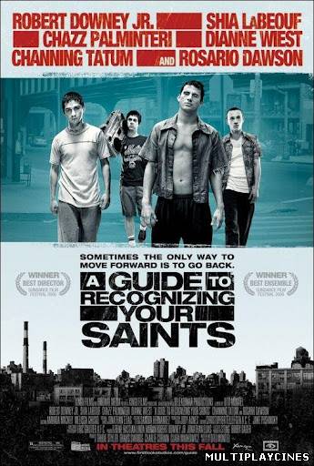 Ver Memorias de Queens (A Saints) (A Guide to Recognizing Your Saints) (2006) Online Gratis