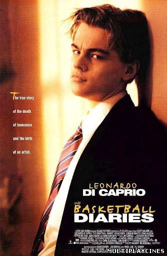 Ver Diario de un rebelde (1995) Online Gratis