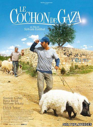 Ver Le cochon de Gaza (When Pigs Have Wings) (2011) Online Gratis