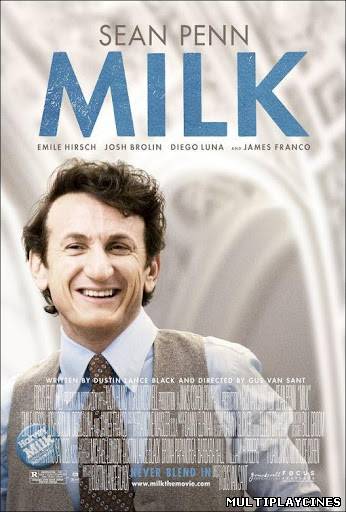 Ver Mi Nombre Es Harvey Milk (2008) Online Gratis