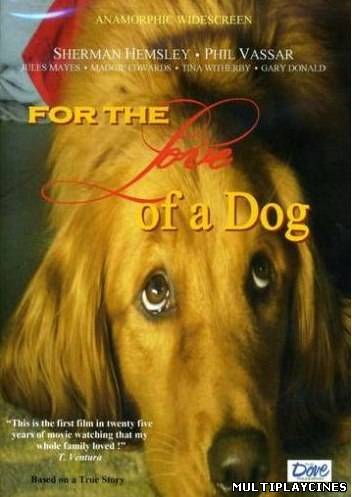 Ver For the Love of a Dog (2008) Online Gratis
