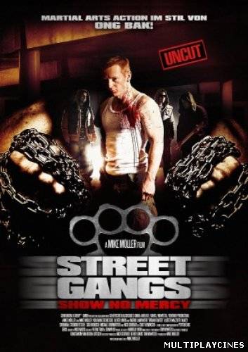 Ver Urban Fighter (2012) Online Gratis