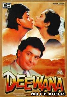 Ver Deewana Online Gratis