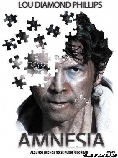 Ver Amnesia (2008) Online Gratis
