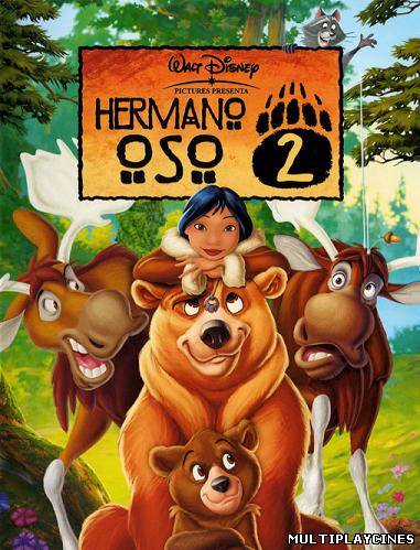 Ver Tierra de osos 2 / Hermano oso 2 (2003) Online Gratis