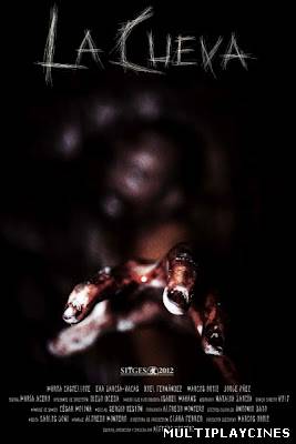 Ver La cueva (Alfredo Montero) (2014) Online Gratis