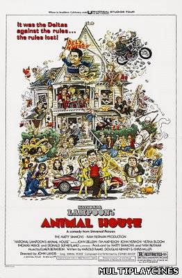 Ver Desmadre a la americana (1978) Online Gratis