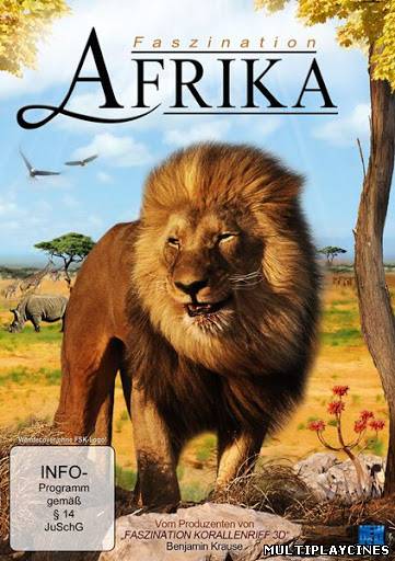Ver Faszination Afrika 3D (2011) Online Gratis