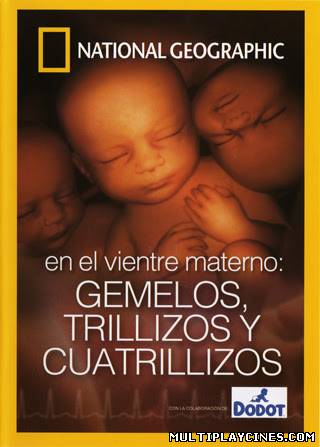 Ver En el vientre materno: gemelos, trillizos y cuatrillizos (2005) Online Gratis