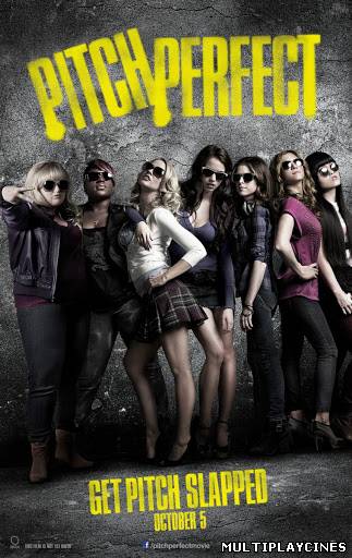 Ver Dando la nota (Pitch Perfect) (2012) Online Gratis