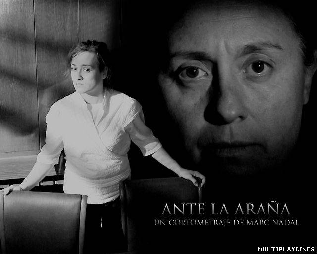 Ver Ante la araña (2011) Online Gratis