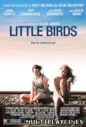 Ver Little Birds (2011) Online Gratis