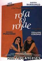 Ver Rosa Rosae (1992) Online Gratis