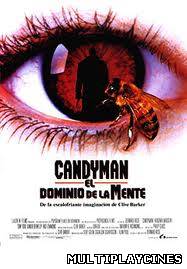 Ver Candyman: El dominio de la mente (1992) Online Gratis