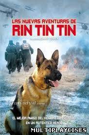 Ver Las nuevas aventuras de Rin-Tin-Tin (2007) Online Gratis