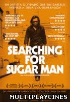 Ver Searching For Sugar Man (2012) Online Gratis