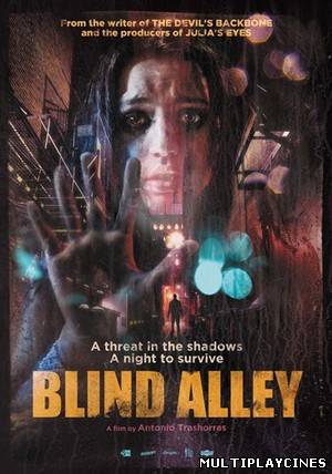 Ver El callejon (Blind Alley) (2011) Online Gratis