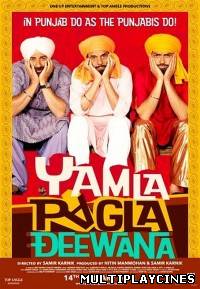 Ver Yamla Pagla Deewana (2011) Online Gratis