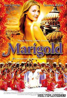Ver Marigold (2007) - O aventură în India Online Gratis